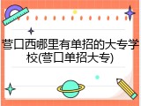 营口西哪里有单招的大专学校(营口单招大专)