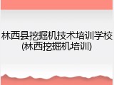 林西县挖掘机技术培训学校(林西挖掘机培训)