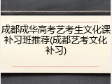成都成华高考艺考生文化课补习班推荐(成都艺考文化补习)