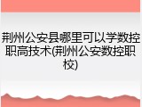 荆州公安县哪里可以学数控职高技术(荆州公安数控职校)