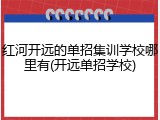 红河开远的单招集训学校哪里有(开远单招学校)