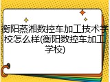 衡阳蒸湘数控车加工技术学校怎么样(衡阳数控车加工学校)
