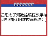 辽阳太子河数控编程教学培训机构(辽阳数控编程培训)