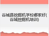 谷城县挖掘机学校哪家好(谷城挖掘机培训)