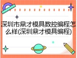 深圳市鼎才模具数控编程怎么样(深圳鼎才模具编程)