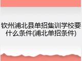 钦州浦北县单招集训学校要什么条件(浦北单招条件)