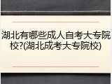 湖北有哪些成人自考大专院校?(湖北成考大专院校)