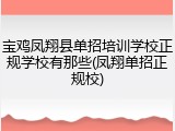 宝鸡凤翔县单招培训学校正规学校有那些(凤翔单招正规校)