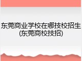 东莞商业学校在哪技校招生(东莞商校技招)