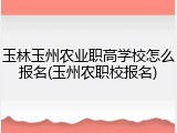 玉林玉州农业职高学校怎么报名(玉州农职校报名)