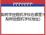 梨树学挖掘机学校在哪里?(梨树挖掘机学校地址)