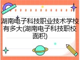 湖南电子科技职业技术学校有多大(湖南电子科技职校面积)