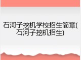 石河子挖机学校招生简章(石河子挖机招生)