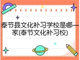 奉节县文化补习学校是哪一家(奉节文化补习校)
