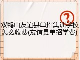 双鸭山友谊县单招集训学校怎么收费(友谊县单招学费)