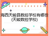 海西天峻县数控学校有哪些(天峻数控学校)