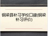 铜梁县补习学校口碑(铜梁补习评价)