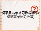 铜梁县高考补习推荐哪家(铜梁高考补习推荐)