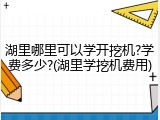 湖里哪里可以学开挖机?学费多少?(湖里学挖机费用)