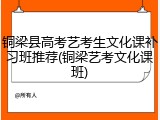 铜梁县高考艺考生文化课补习班推荐(铜梁艺考文化课班)