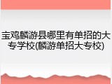 宝鸡麟游县哪里有单招的大专学校(麟游单招大专校)