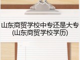 山东商贸学校中专还是大专(山东商贸学校学历)