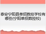 泰安宁阳县单招数控学校有哪些(宁阳单招数控校)