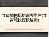 共青城挖机培训哪里有(共青城挖掘机培训)