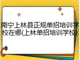 南宁上林县正规单招培训学校在哪(上林单招培训学校)