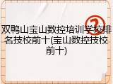 双鸭山宝山数控培训学校排名技校前十(宝山数控技校前十)