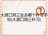 大渡口高三生去哪个补习学校(大渡口高三补习)