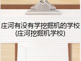 庄河有没有学挖掘机的学校(庄河挖掘机学校)