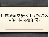 桂林旅游商贸技工学校怎么样(桂林商校如何)