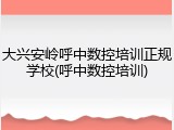 大兴安岭呼中数控培训正规学校(呼中数控培训)