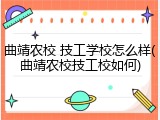 曲靖农校 技工学校怎么样(曲靖农校技工校如何)