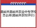 嘉峪关嘉峪关农业中专学校怎么样(嘉峪关农校评价)