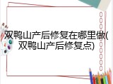 双鸭山产后修复在哪里做(双鸭山产后修复点)