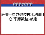 德州平原县数控技术培训中心(平原数控培训)