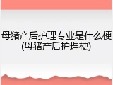 母猪产后护理专业是什么梗(母猪产后护理梗)
