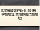 武汉黄陂数控职业培训技工学校地址(黄陂数控技校地址)