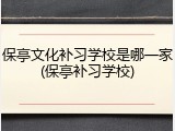 保亭文化补习学校是哪一家(保亭补习学校)