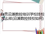 自贡沿滩数控培训学校技校怎么样(沿滩数控技校如何)