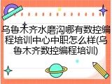 乌鲁木齐水磨沟哪有数控编程培训中心中职怎么样(乌鲁木齐数控编程培训)