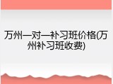 万州一对一补习班价格(万州补习班收费)