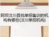 阿坝汶川县找单招集训的机构有哪些(汶川单招机构)