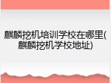 麒麟挖机培训学校在哪里(麒麟挖机学校地址)