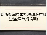昭通盐津县单招培训班有哪些(盐津单招培训)