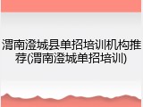 渭南澄城县单招培训机构推荐(渭南澄城单招培训)