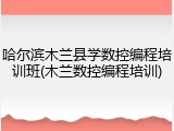 哈尔滨木兰县学数控编程培训班(木兰数控编程培训)
