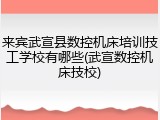 来宾武宣县数控机床培训技工学校有哪些(武宣数控机床技校)
